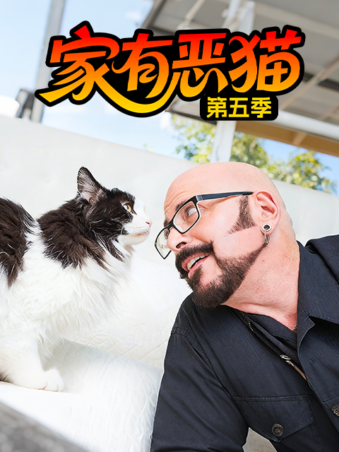 家有恶猫 第五季