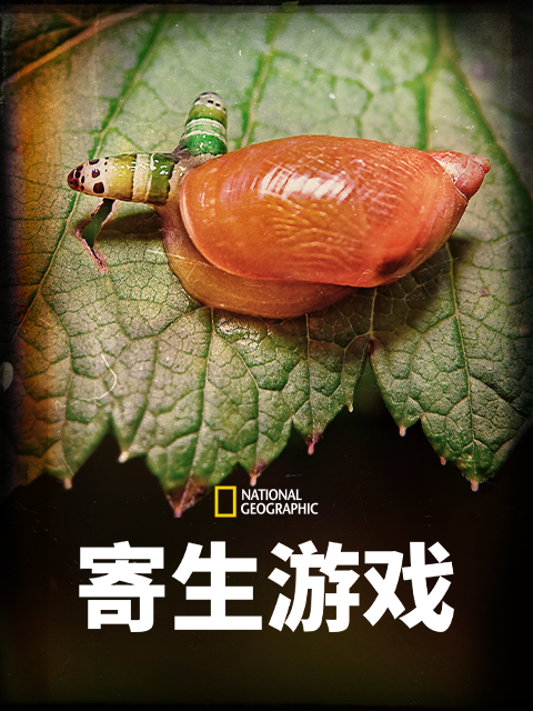 寄生游戏 第一季