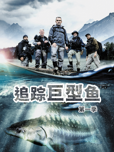 追踪巨型鱼 第一季