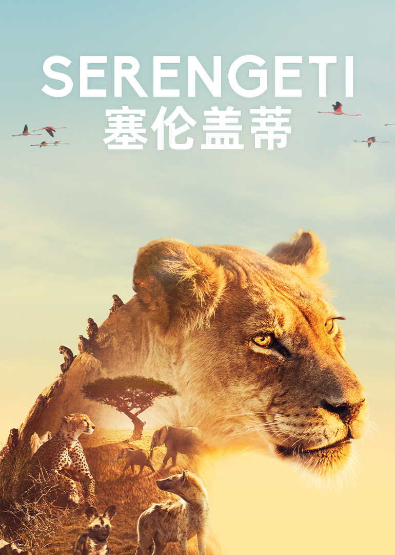 塞伦盖蒂 第1季[普通话版]