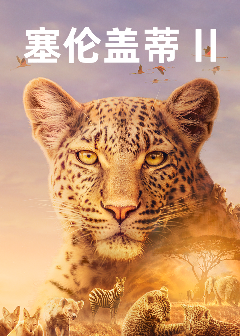 塞伦盖蒂 第2季[普通话版]