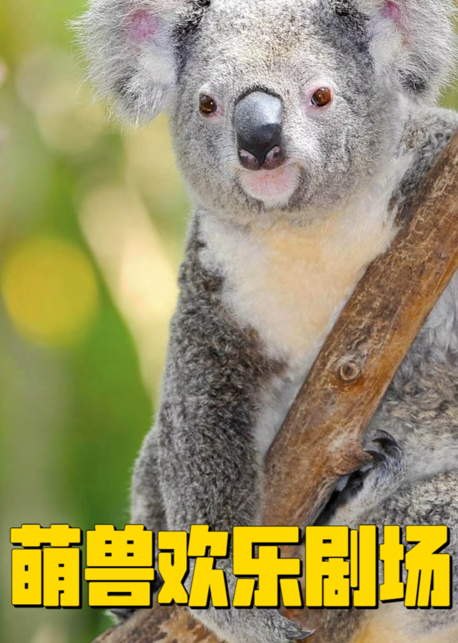 萌兽欢乐剧场