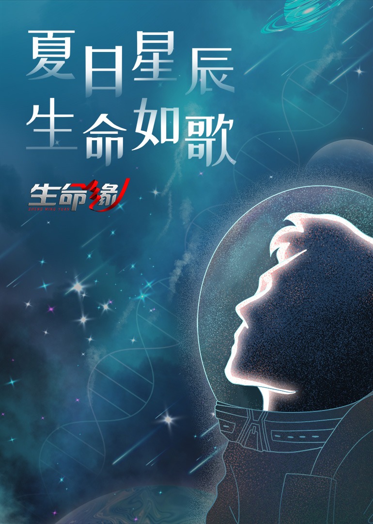 生命缘 第13季