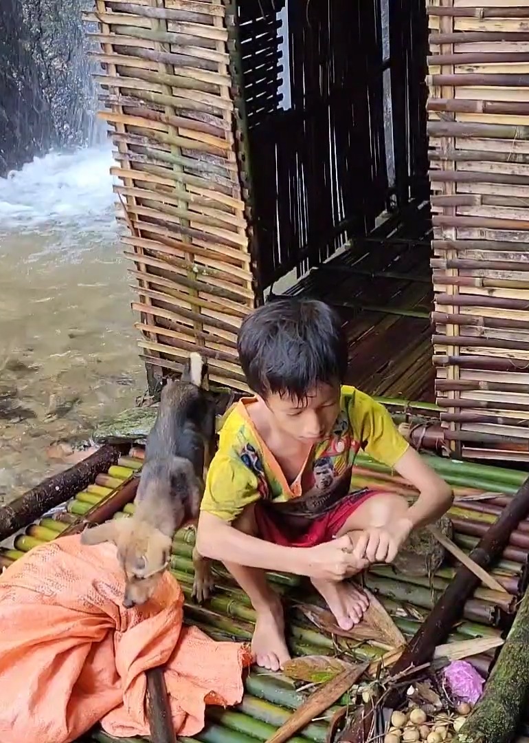 自强的生活