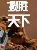 揽胜天下