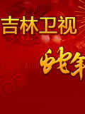 吉林卫视2013春晚