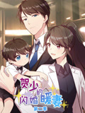 贺少的闪婚暖妻 动态漫画 第2季