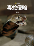 毒蛇侵略 第七季