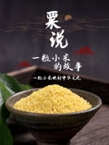 粟说——一粒小米的故事