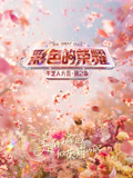 彩色的荣耀·手艺人大会第2季