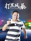打黑风暴