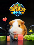 萌宠美食小分队