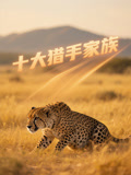 十大猎手家族