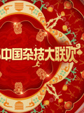 河南卫视2025年中国杂技大联欢