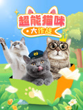 超能猫咪大作战