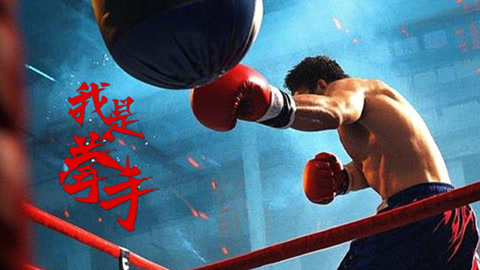 我是拳手