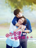因为爱情有幸福之二TV版