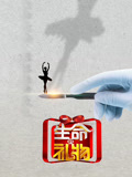 生命缘·生命的礼物第3季