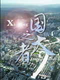 国之大者