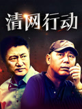清网行动