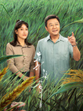 幸福草