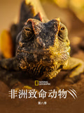 非洲致命动物 第八季 中文版