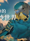 动物的奇妙世界
